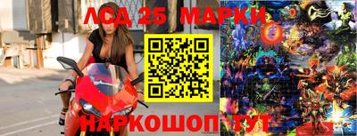 spice Боровичи