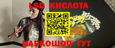 прущие грибы Брянск