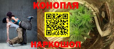 spice Боровичи