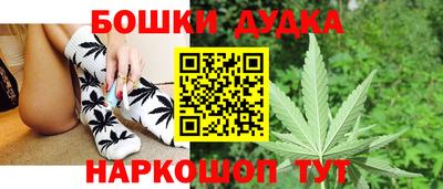 прущие грибы Брянск
