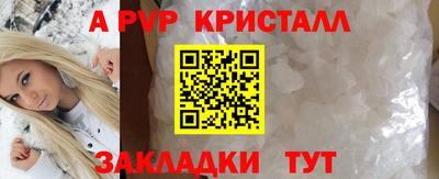 прущие грибы Брянск